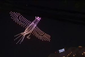 Drone Show