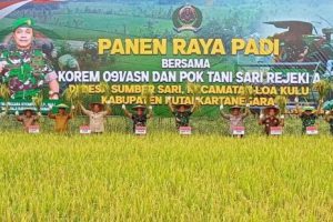 Panen raya padi di Kukar