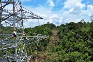 Teknisi PLN melakukan pembangunan tower jaringan listrik dalam hutan Kalimantan.