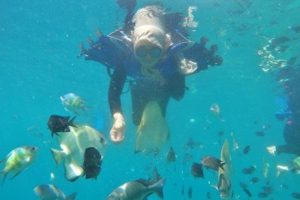 Snorkeling di perairan Sangalaki
