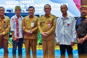 Rakor Ormas