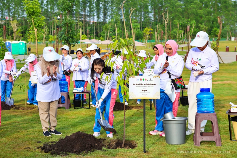 Selvi Ananda Tanam Pohon di IKN, Dukung Kota Hutan Hijau